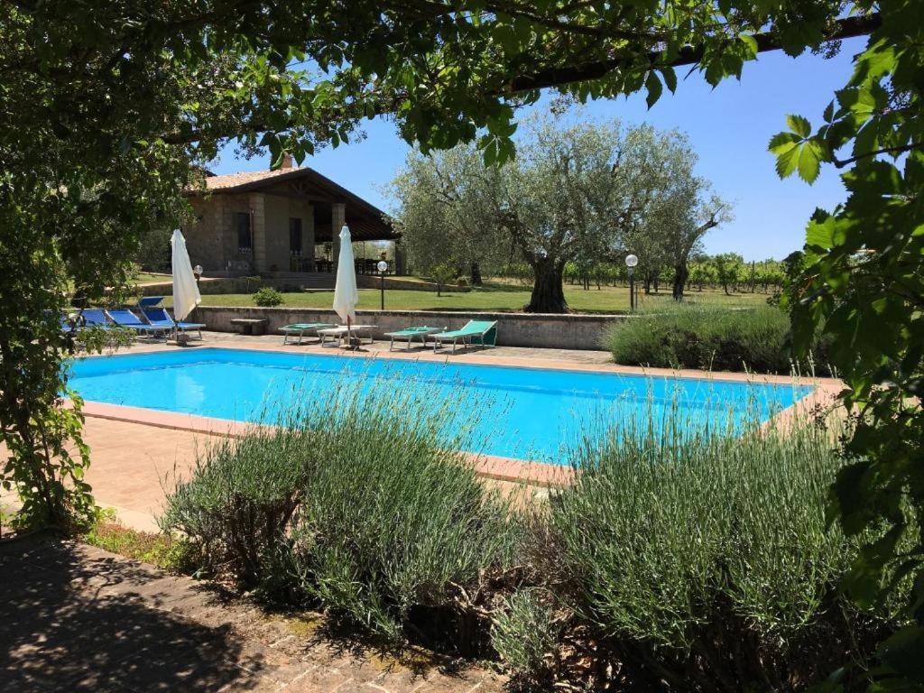 Agriturismo Eco-Bio Villa Vacasio Питиляно Екстериор снимка